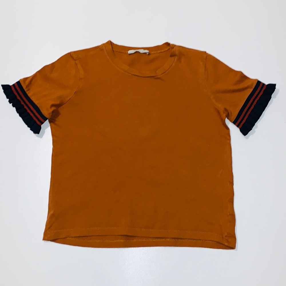 Zara TRF Short Sleeve Flutter Sleeve Crop Top